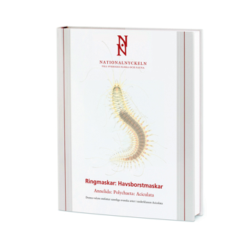 Bokomslag Bokomslag Ringmaskar: Havsborstmaskar