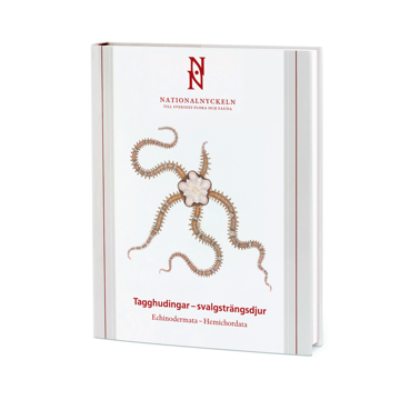 Bokomslag Bokomslag Tagghudingar - svalgsträngsdjur