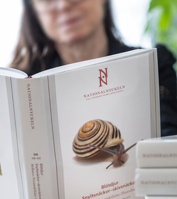 Kvinna sitter med bok uppslagen framför sig.
