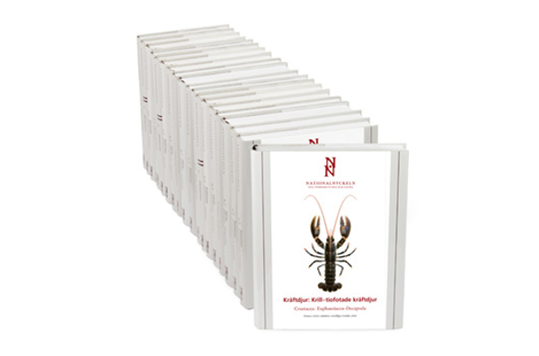 Flera stående böcker i rad