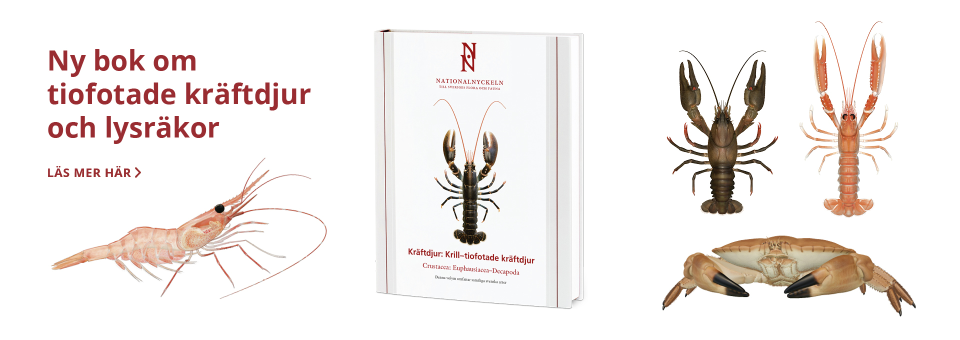 Bokomslag och  färgillustrationer av  räkor, krabba och kräfta